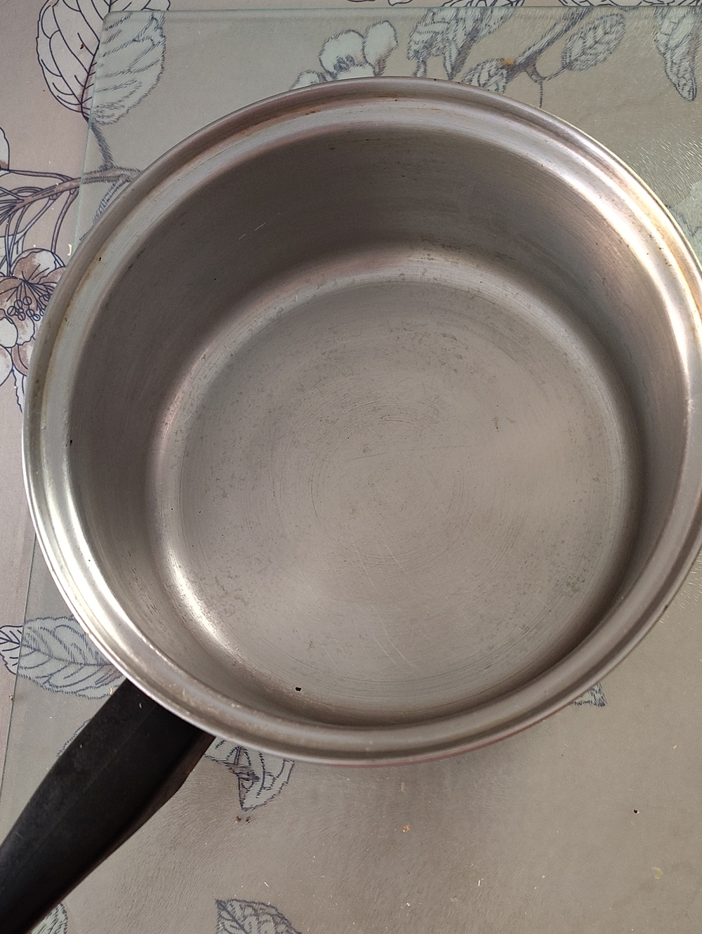 Stainless Steel Pan
